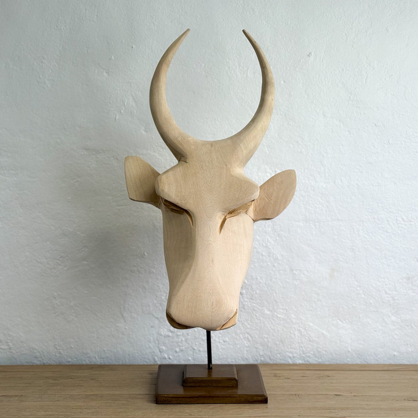 Swazi Bull Head - Eswatini