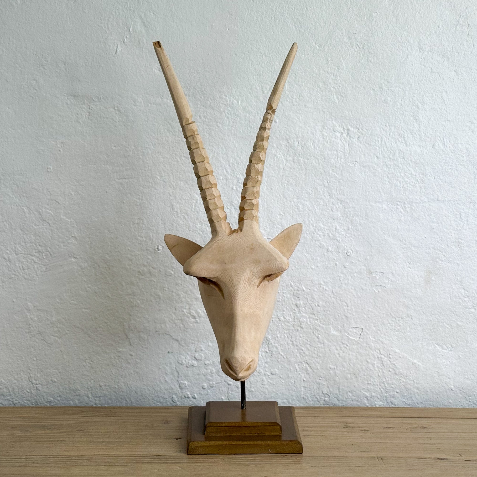Swazi Springbok Head - Eswatini