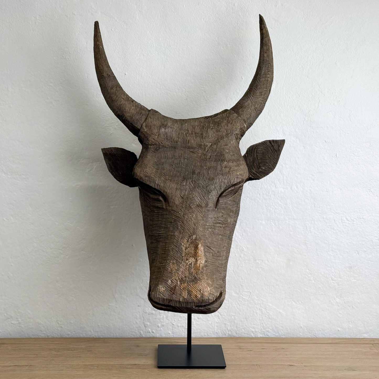 Jacaranda Bull Head - South Africa