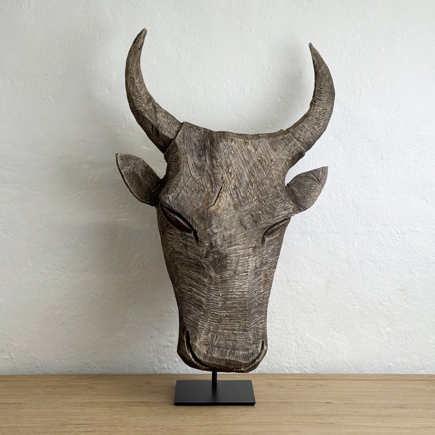 Jacaranda Bull Head - South Africa