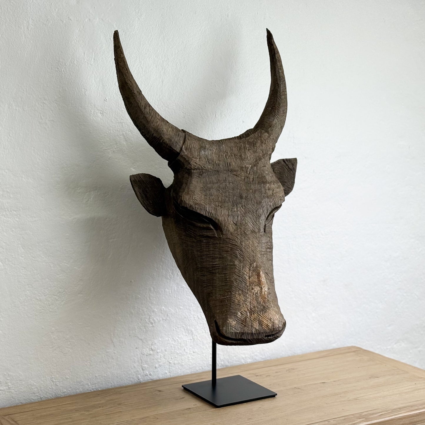 Jacaranda Bull Head - South Africa