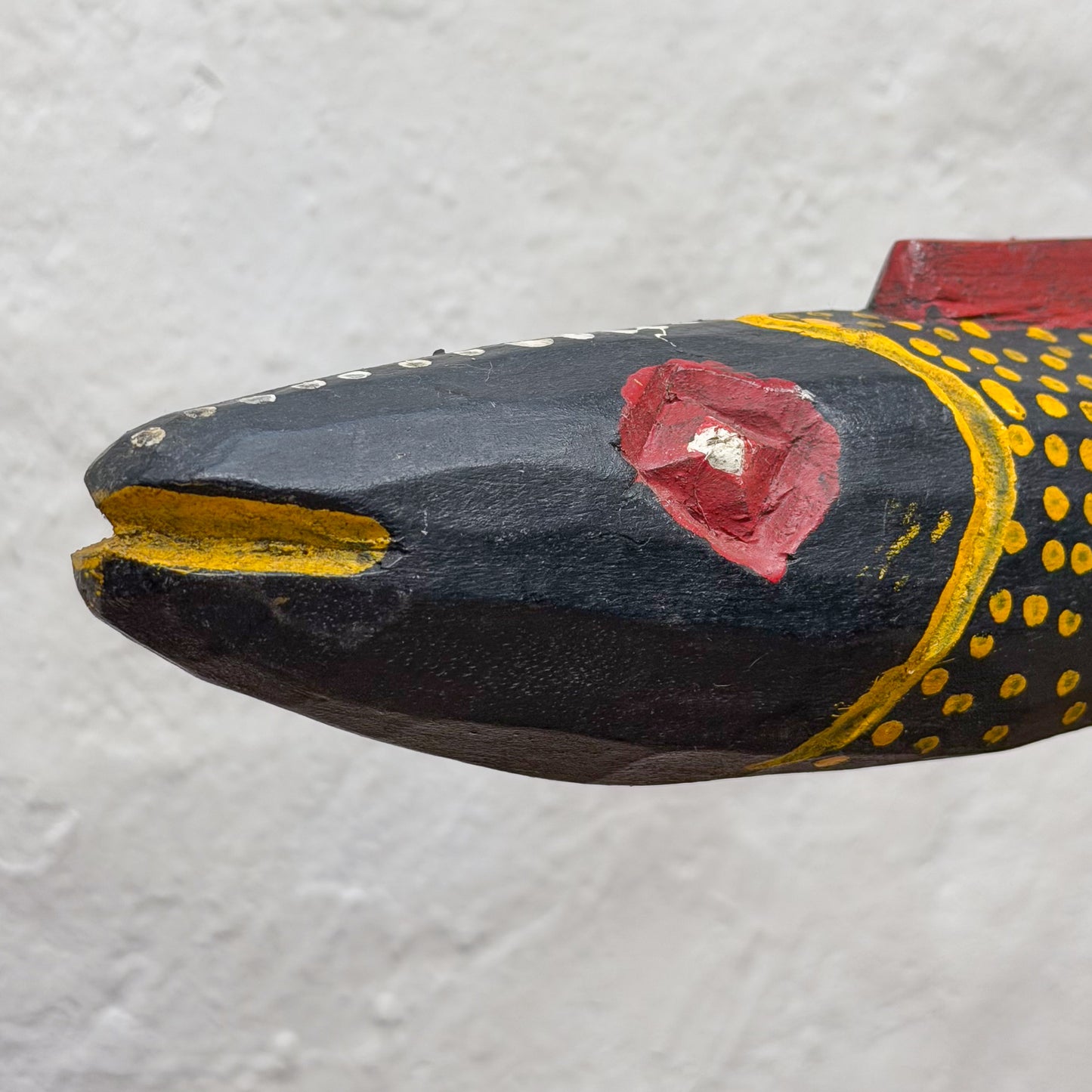 Mali Puppet Fish