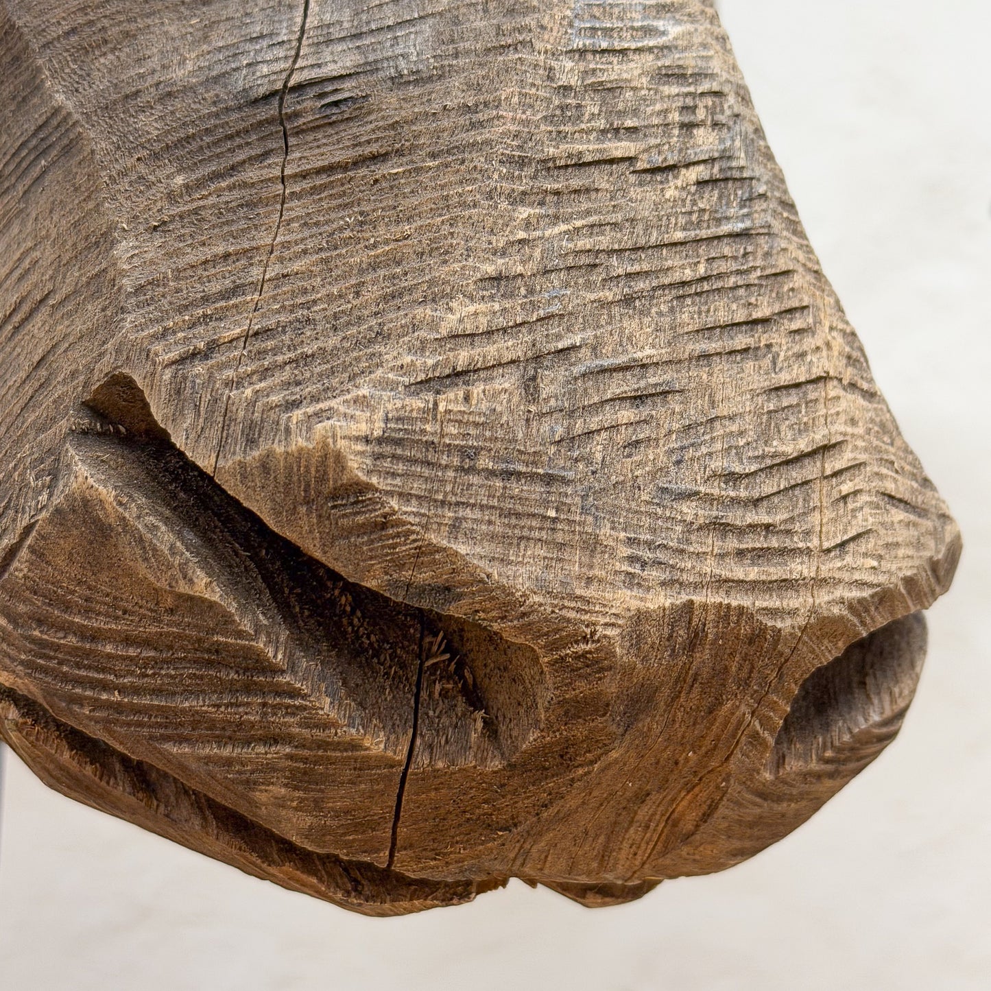 Swazi Bull Head - Swaziland