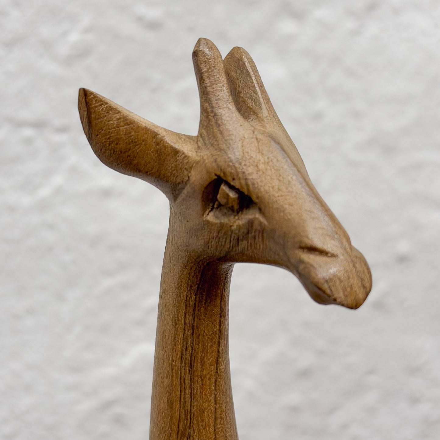Giraffe - Small - Zimbabwe