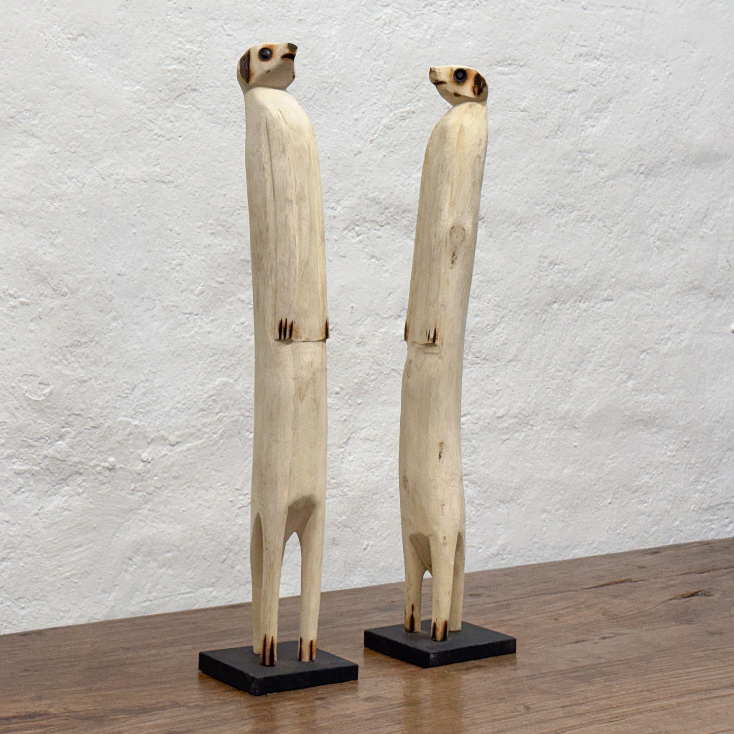 Meerkat - Cameroon