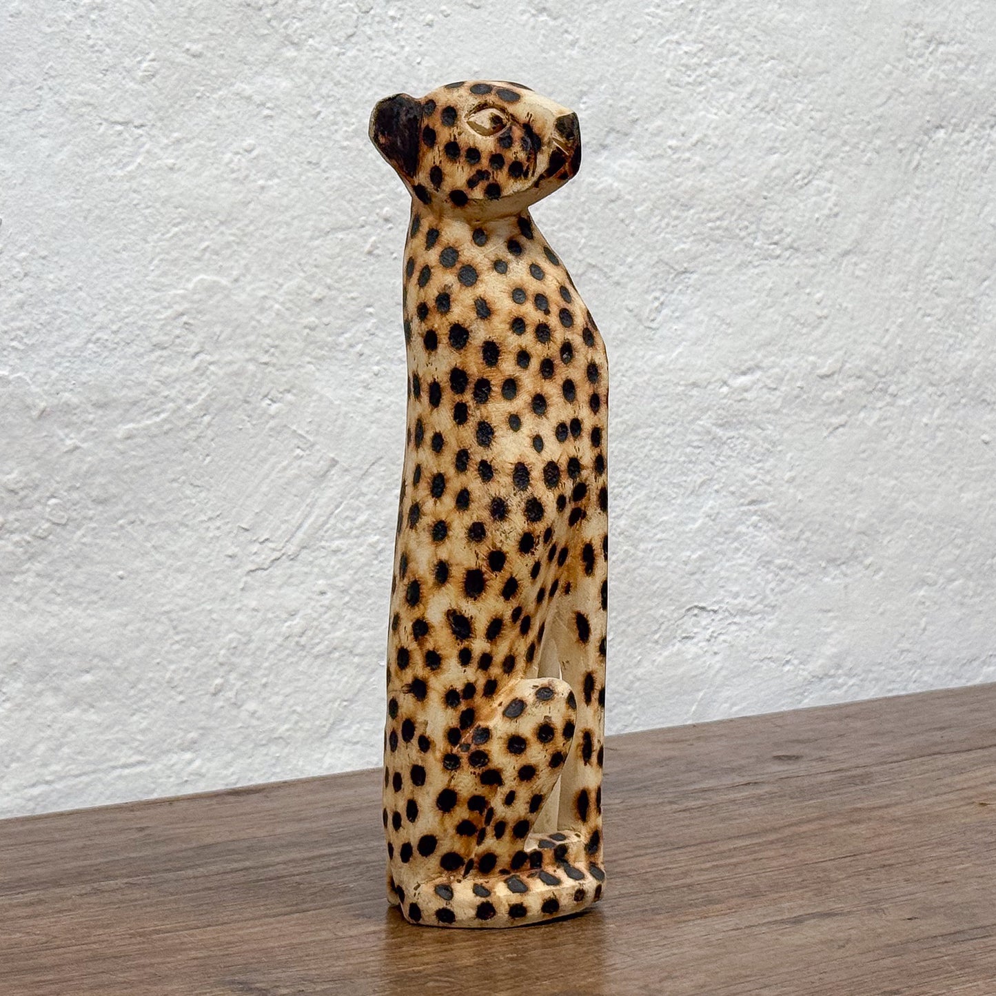 Cheetah - Zimbabwe