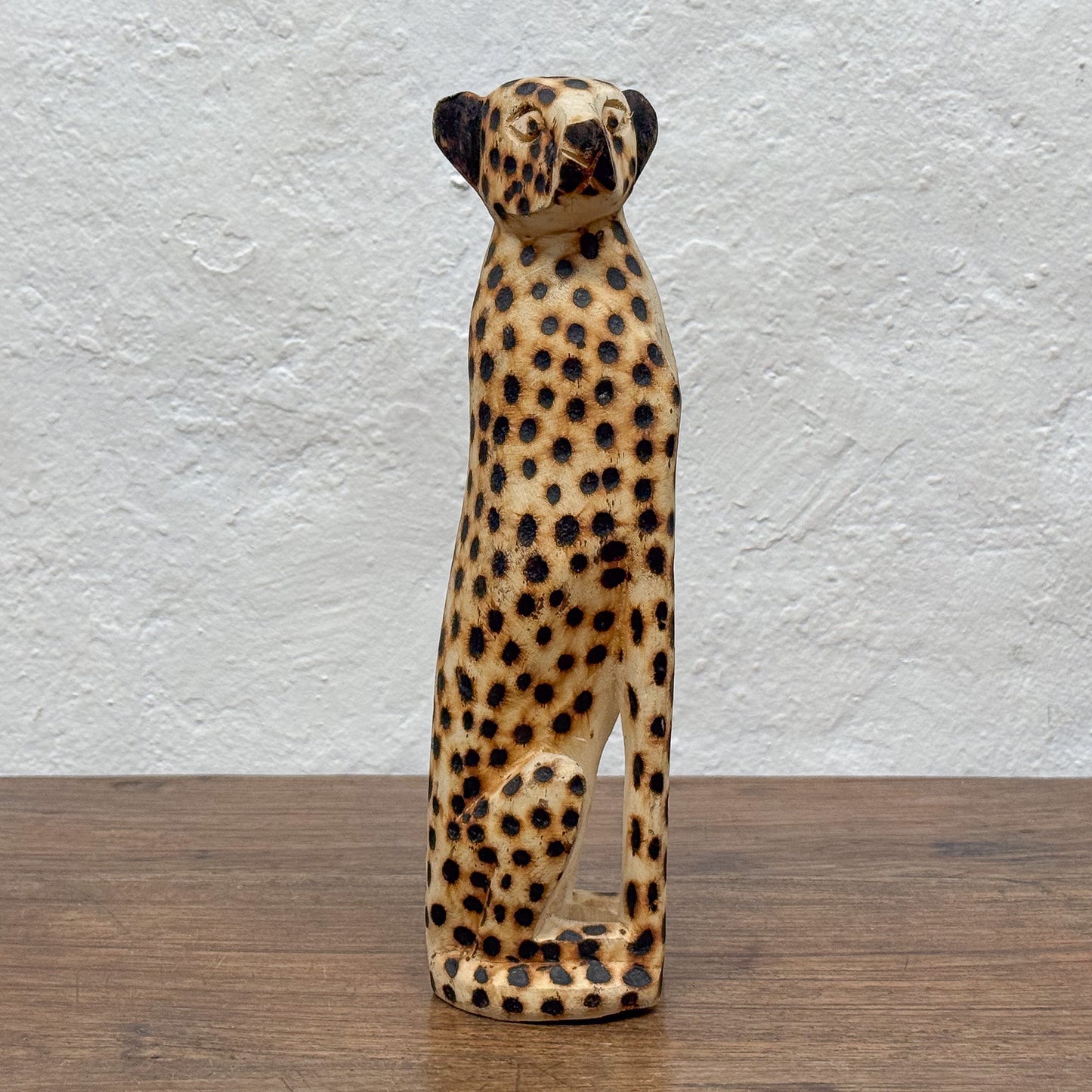 Cheetah - Zimbabwe