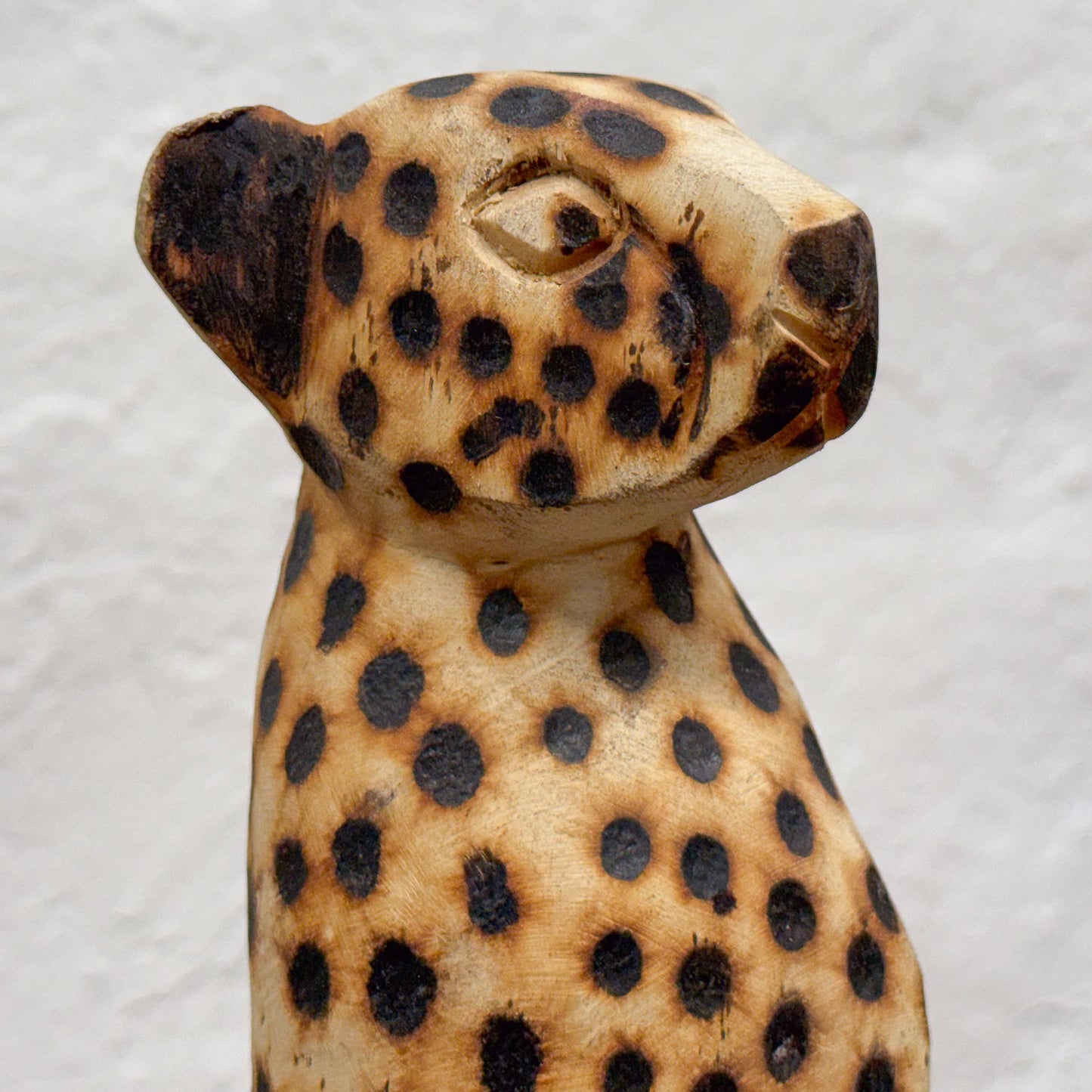 Cheetah - Zimbabwe