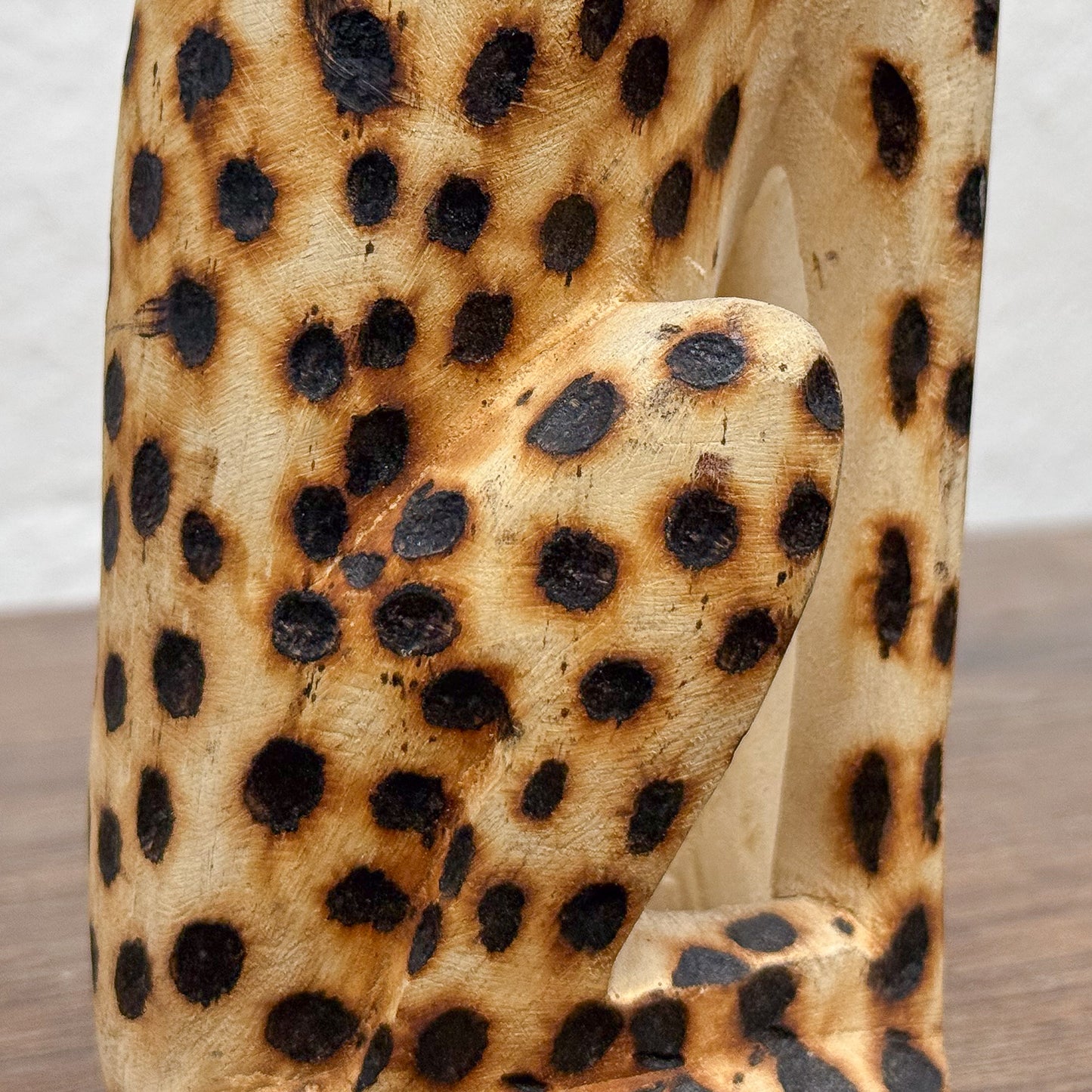 Cheetah - Zimbabwe