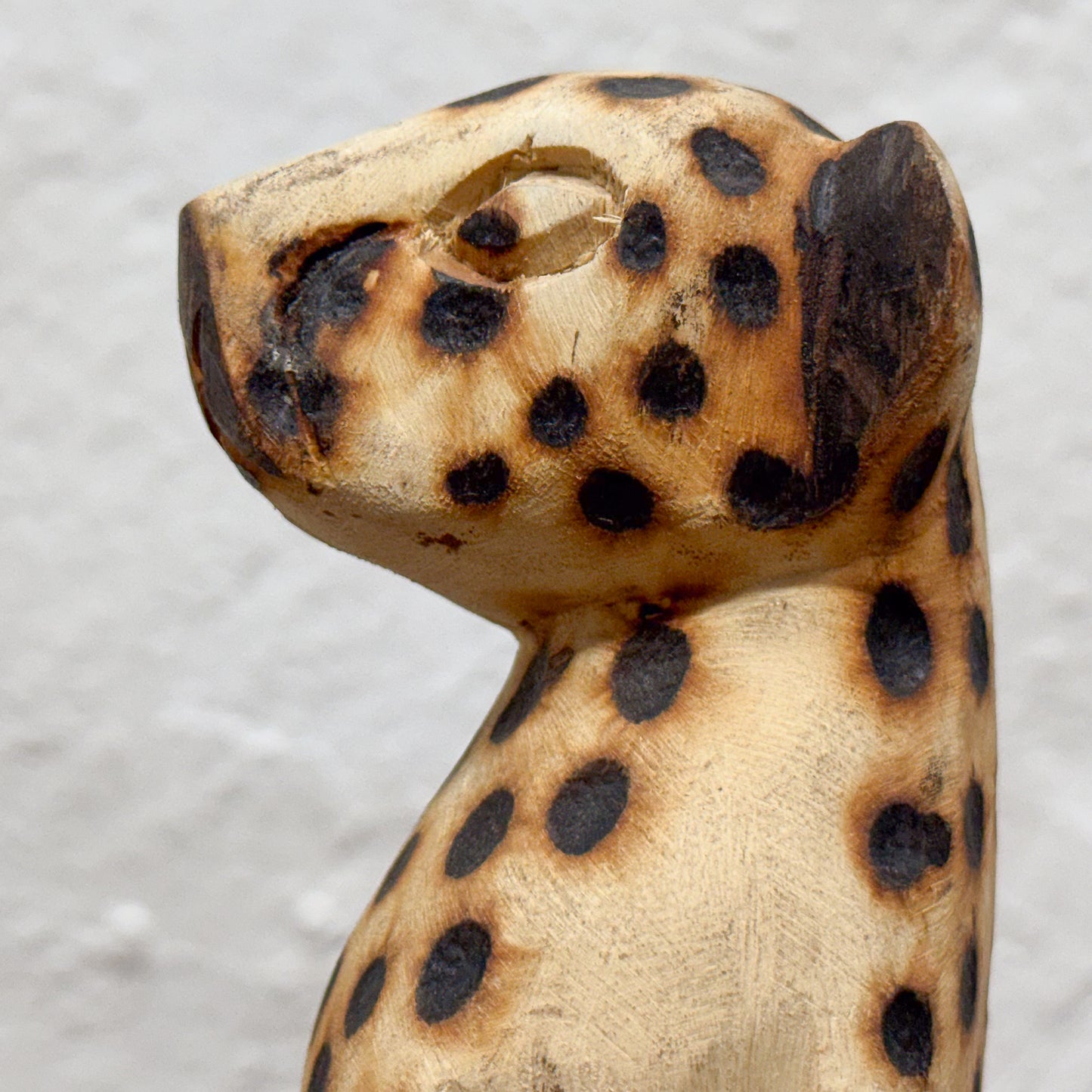 Cheetah - Zimbabwe