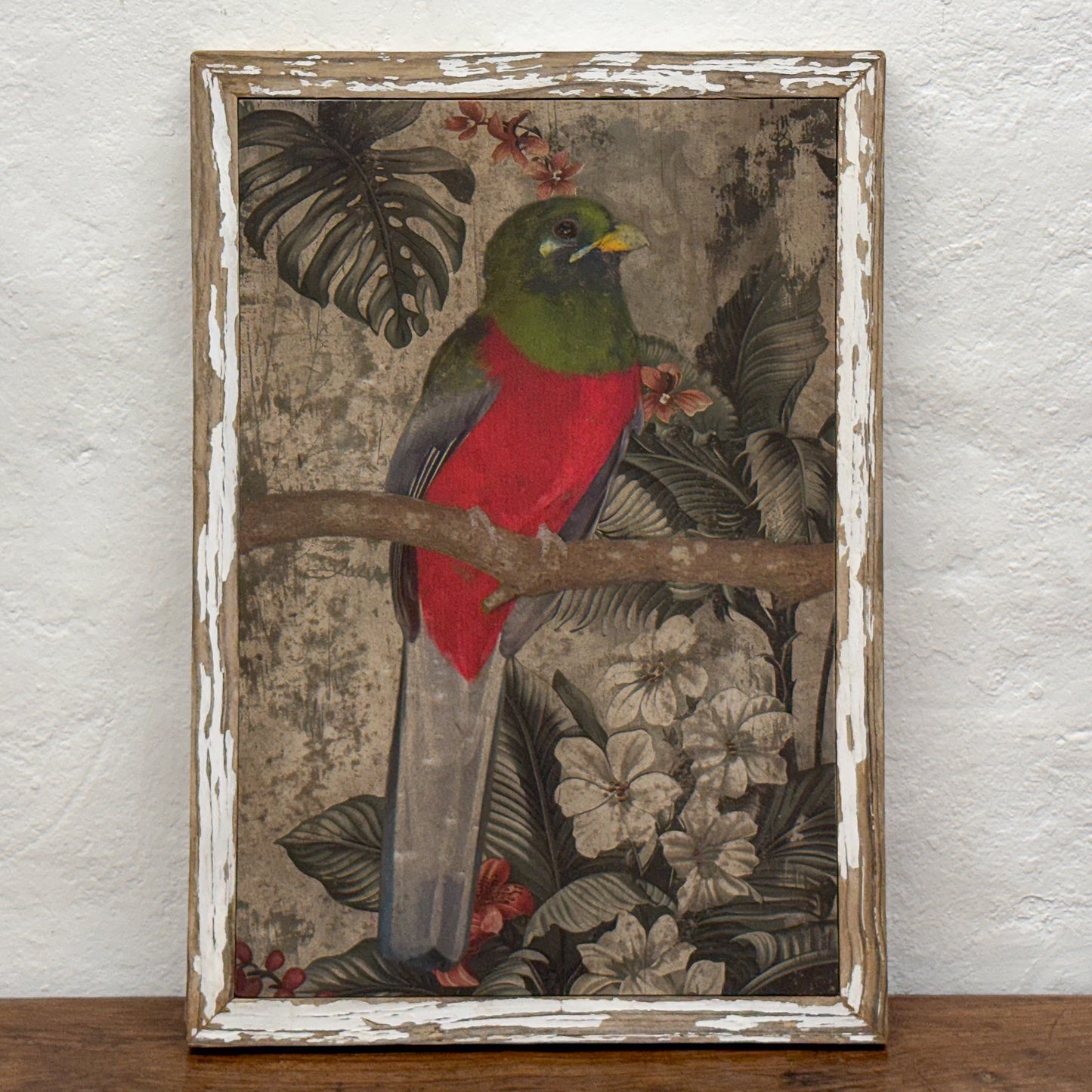 Narina Trogan Canvas Print