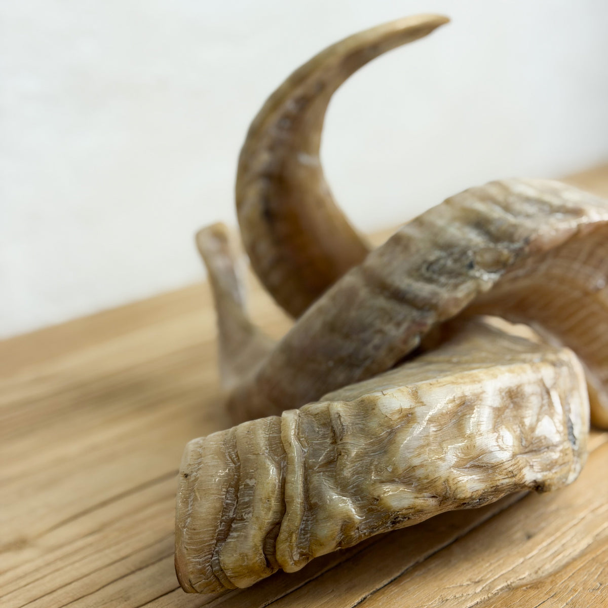 Three natural horn or antler decor pieces arranged on a light wood surface against a soft off-white background.
