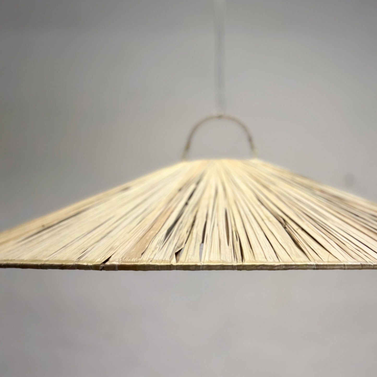 Raffia Coolie Pendant Light Shade