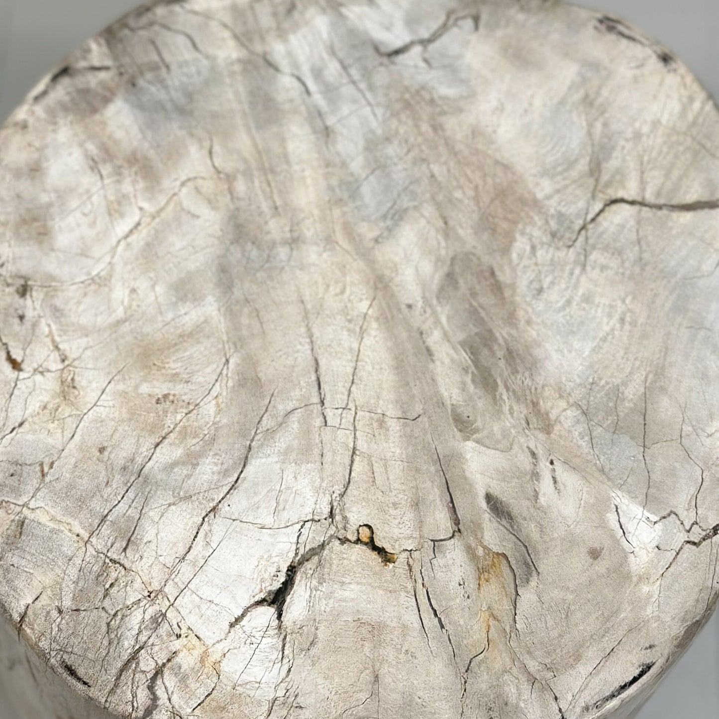 Petrified Wood Stool III