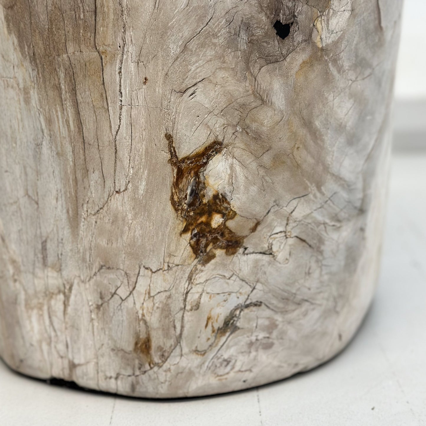 Petrified Wood Stool III