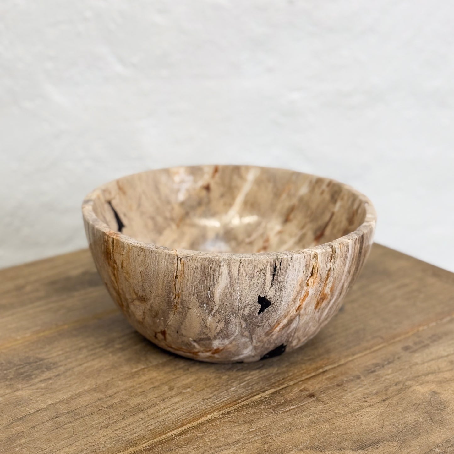 Petrified Wood Bowl III