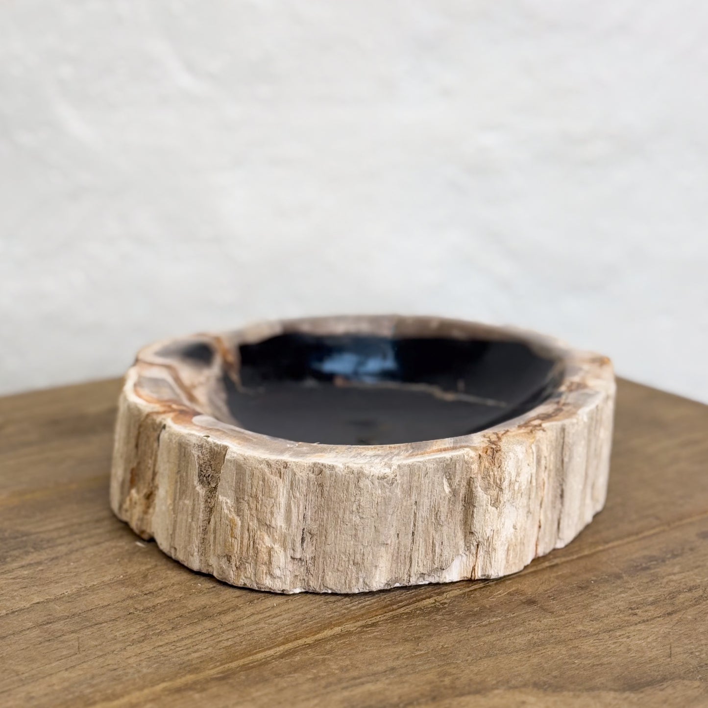 Petrified Wood Dish I