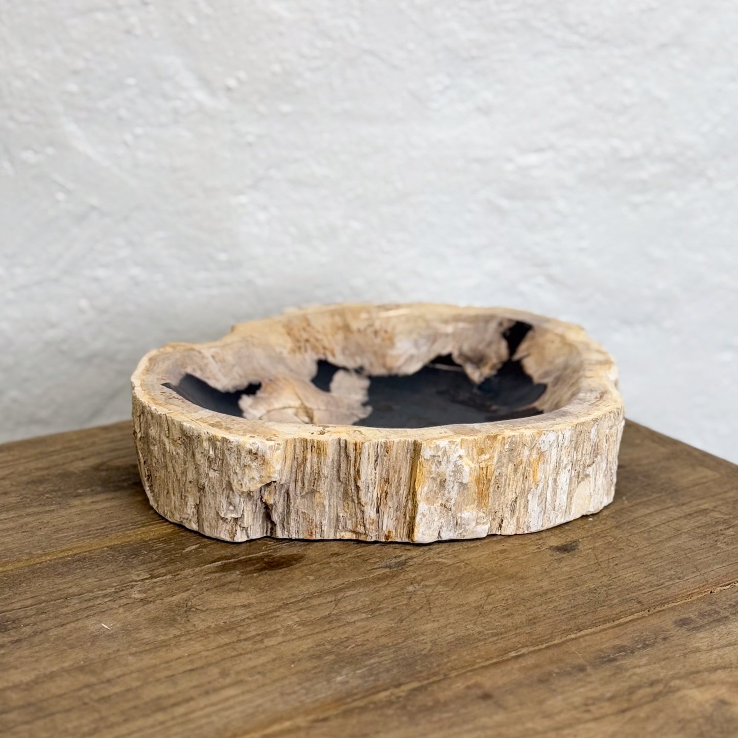 Petrified Wood Dish III