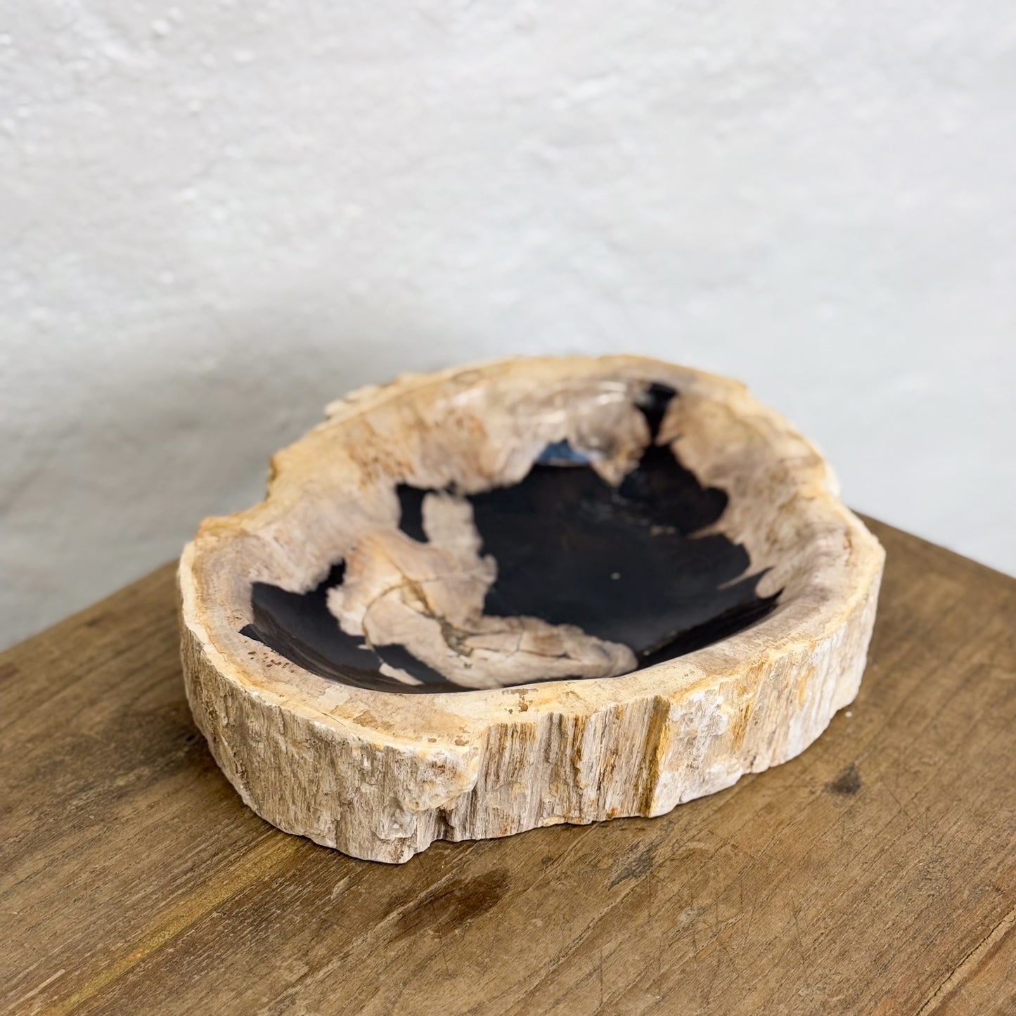 Petrified Wood Dish III