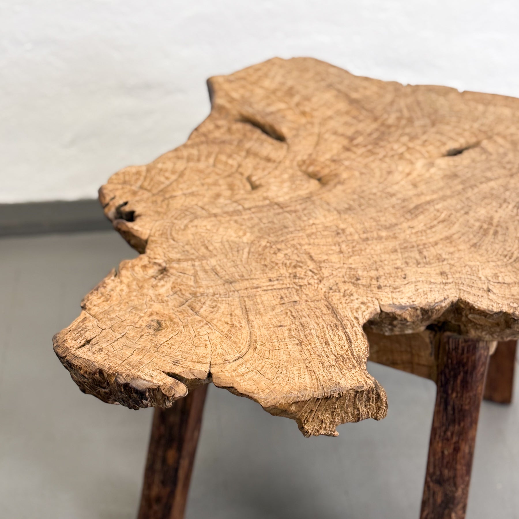 Raize Side Table Root Slice Side Table – Orient House