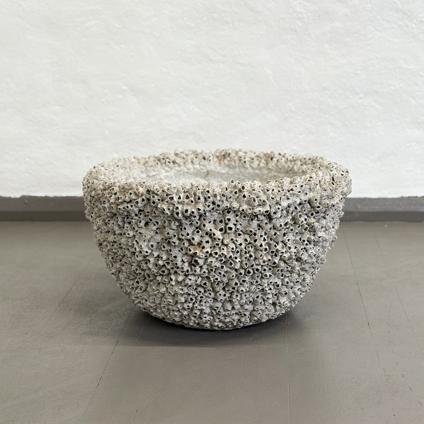 Large Barnacle Bowl