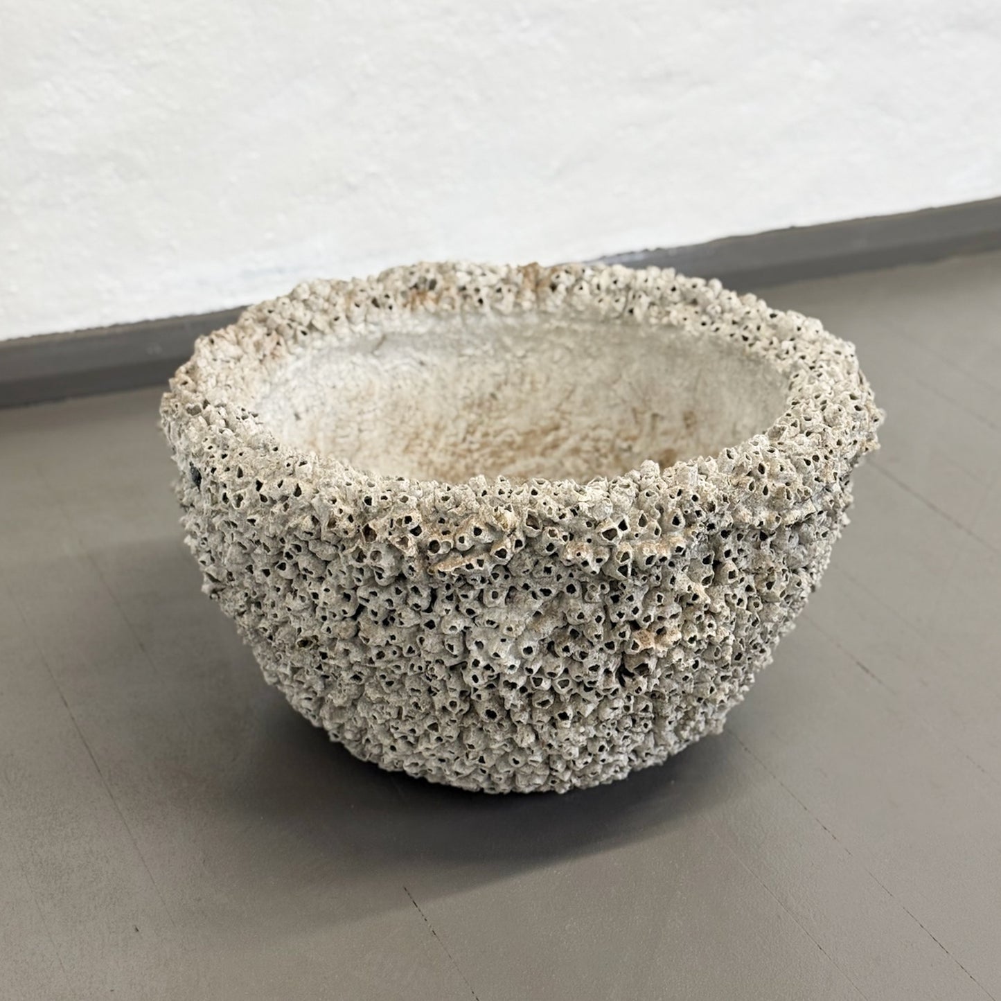 Large Barnacle Bowl