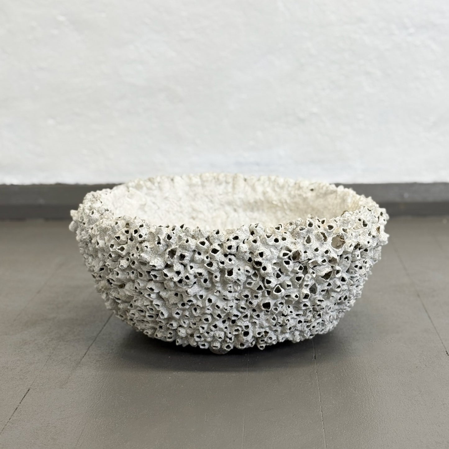 Shallow Barnacle Bowl