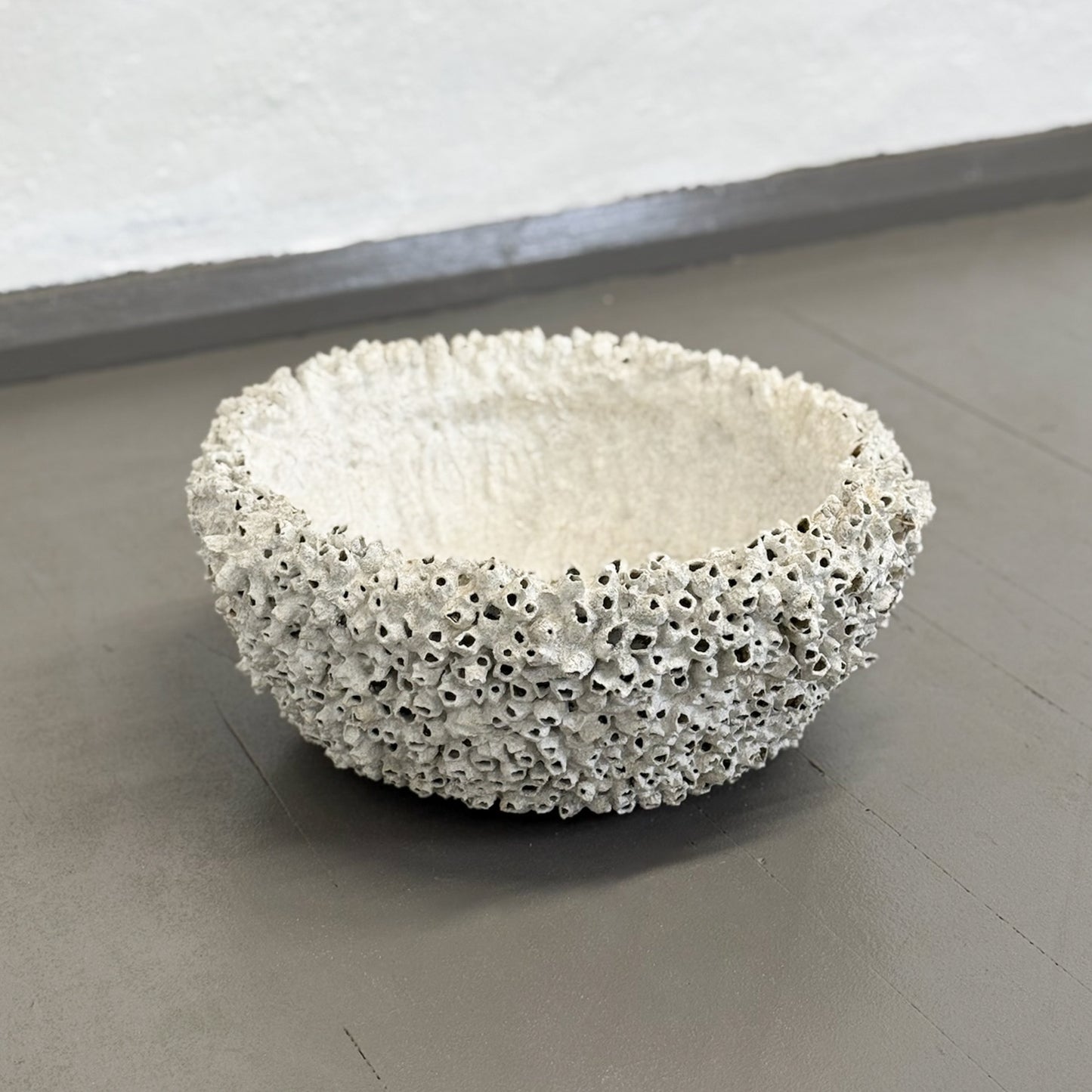 Shallow Barnacle Bowl