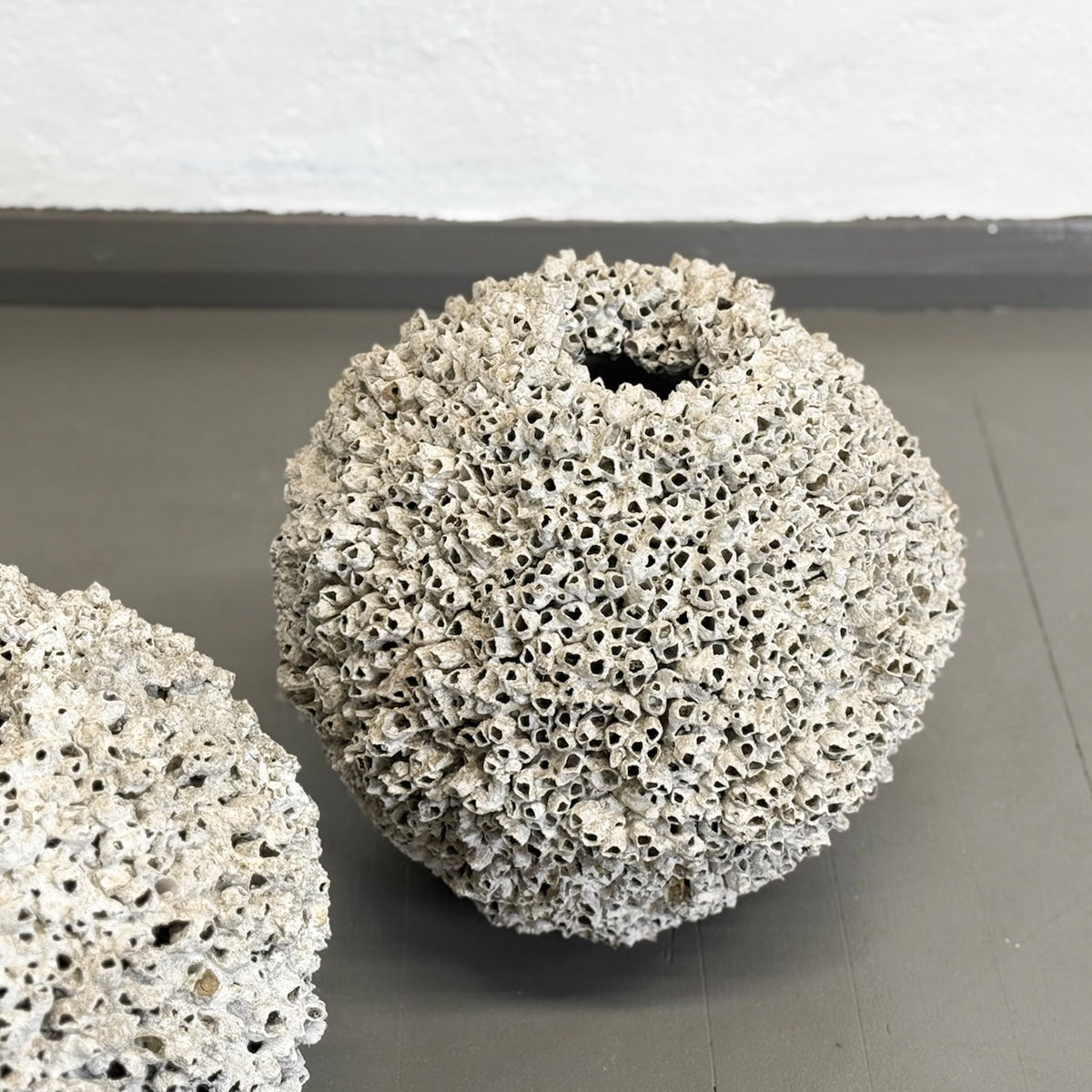 Peracles Pot Round Barnacle Pot – Orient House