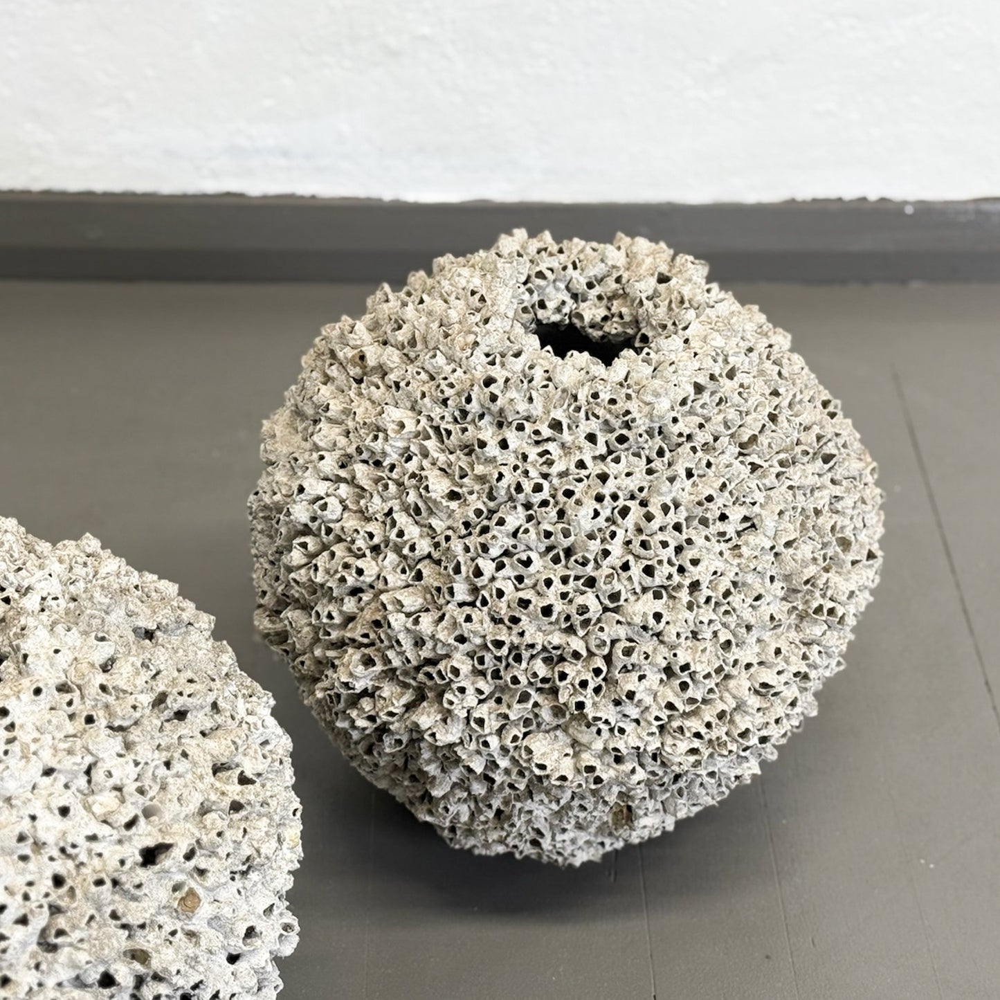 Round Barnacle Pot