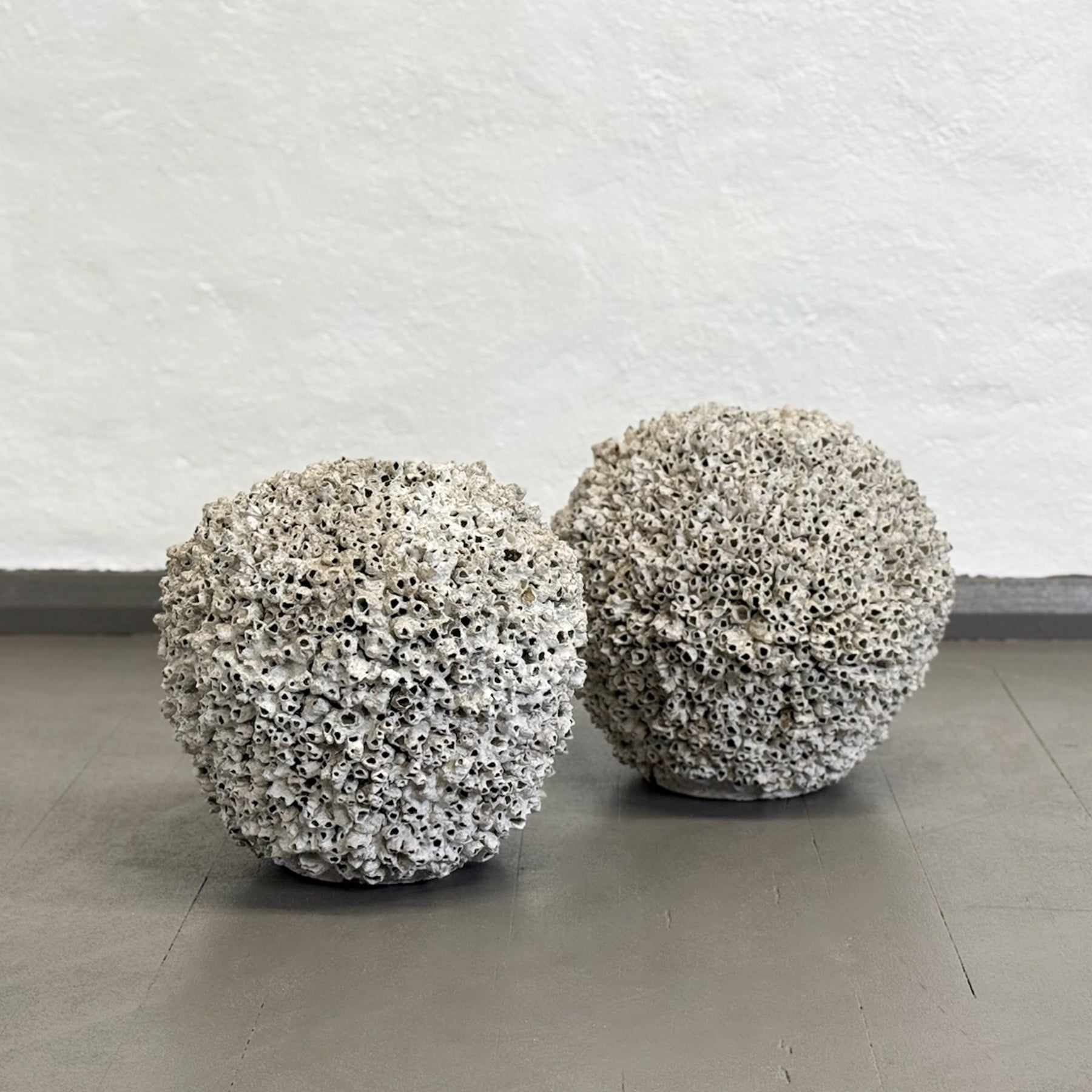 Peracles Pot Round Barnacle Pot – Orient House