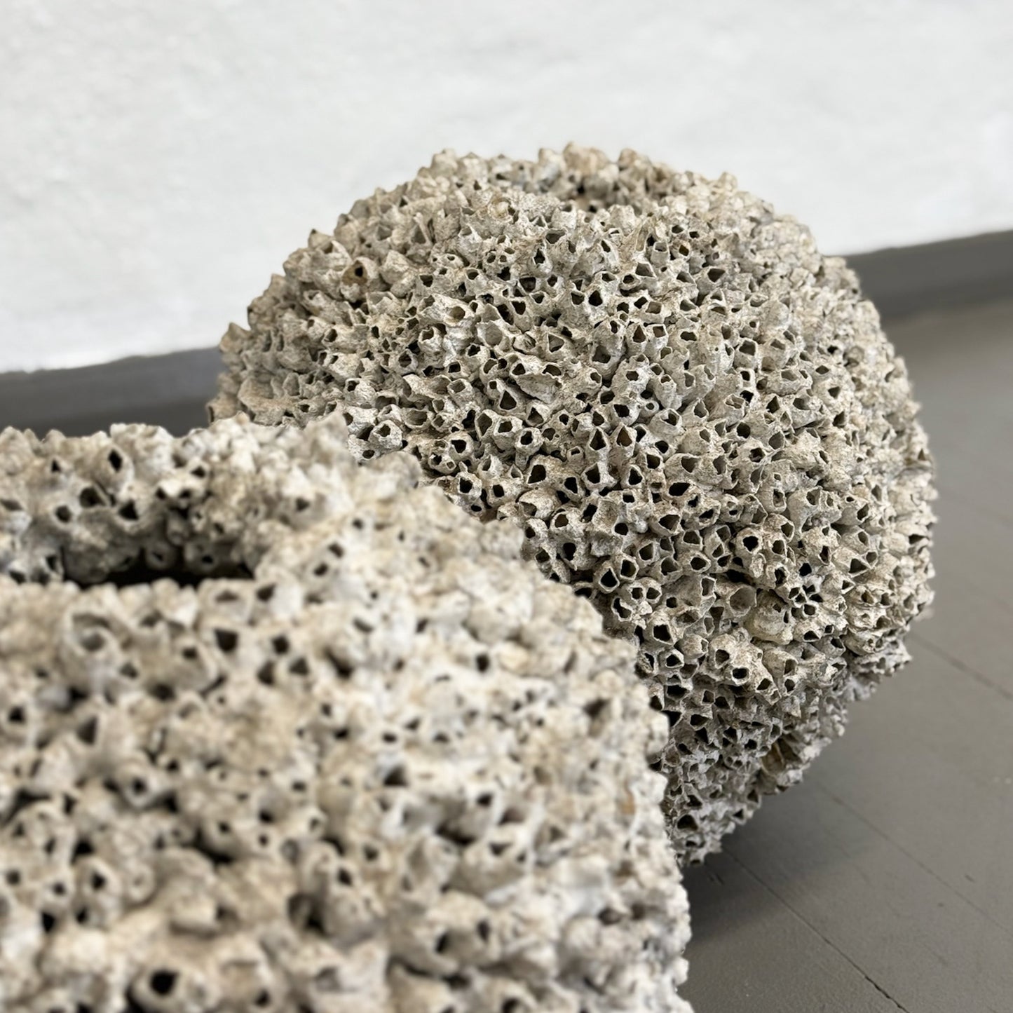 Round Barnacle Pot