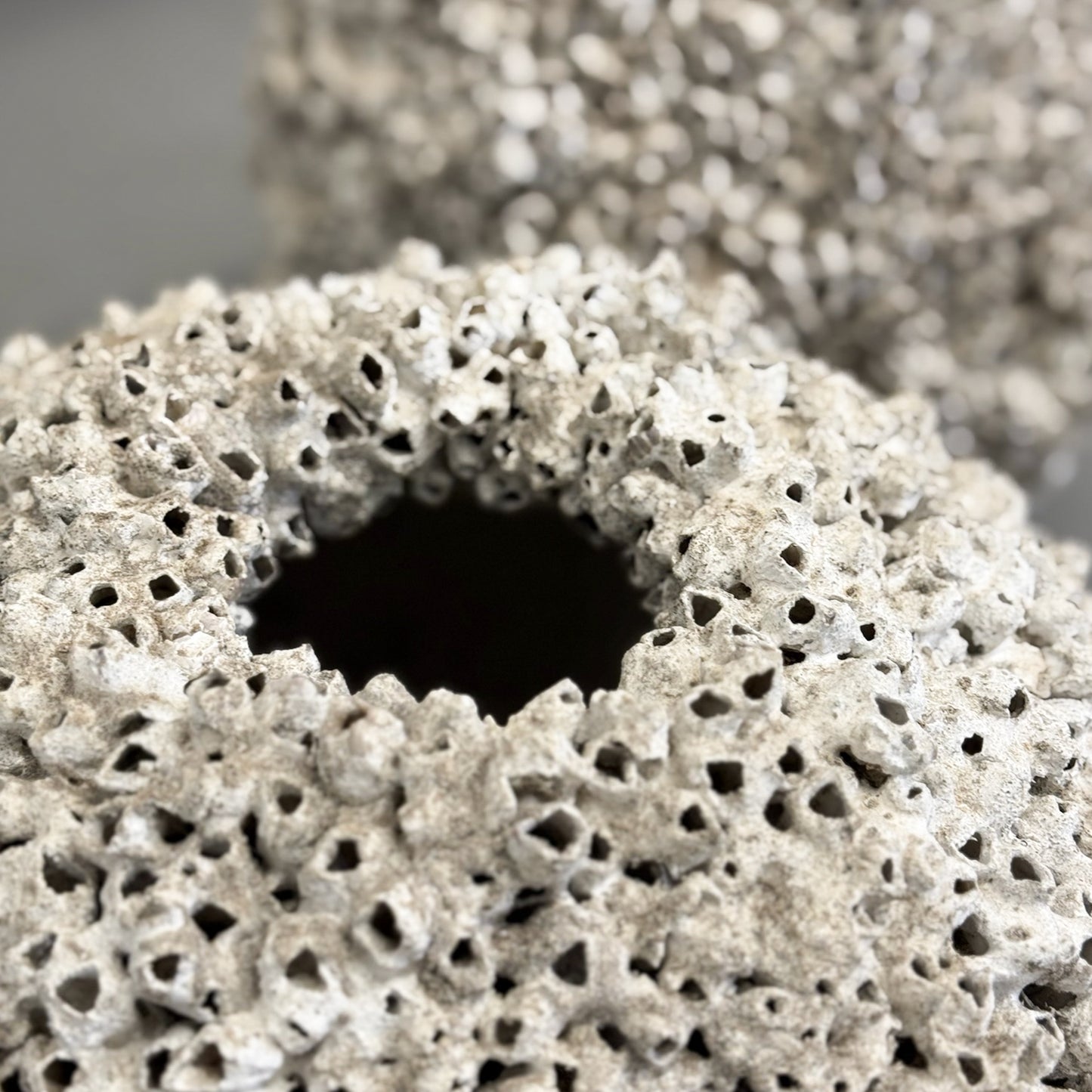 Round Barnacle Pot