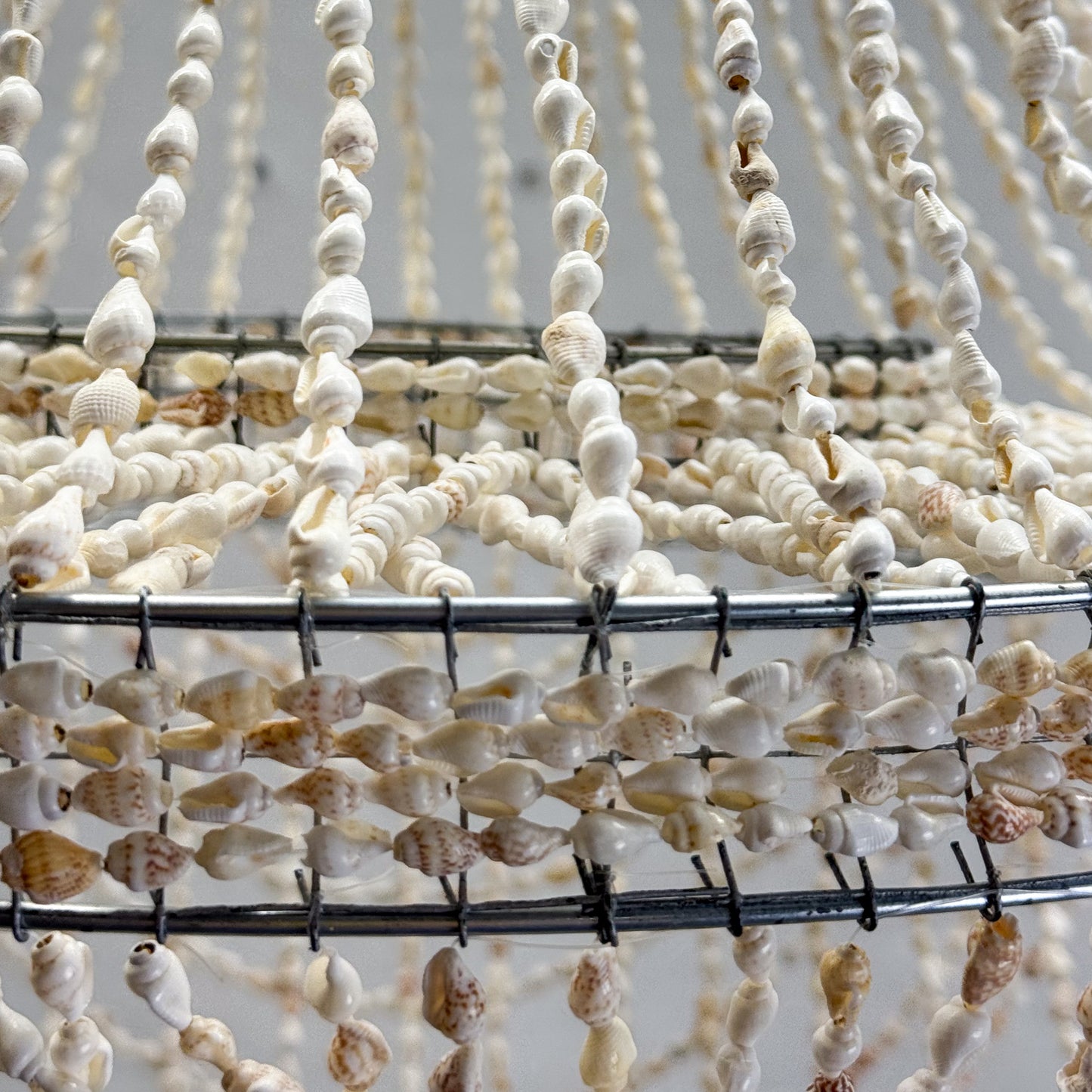 Hanging Shell Pendant Light