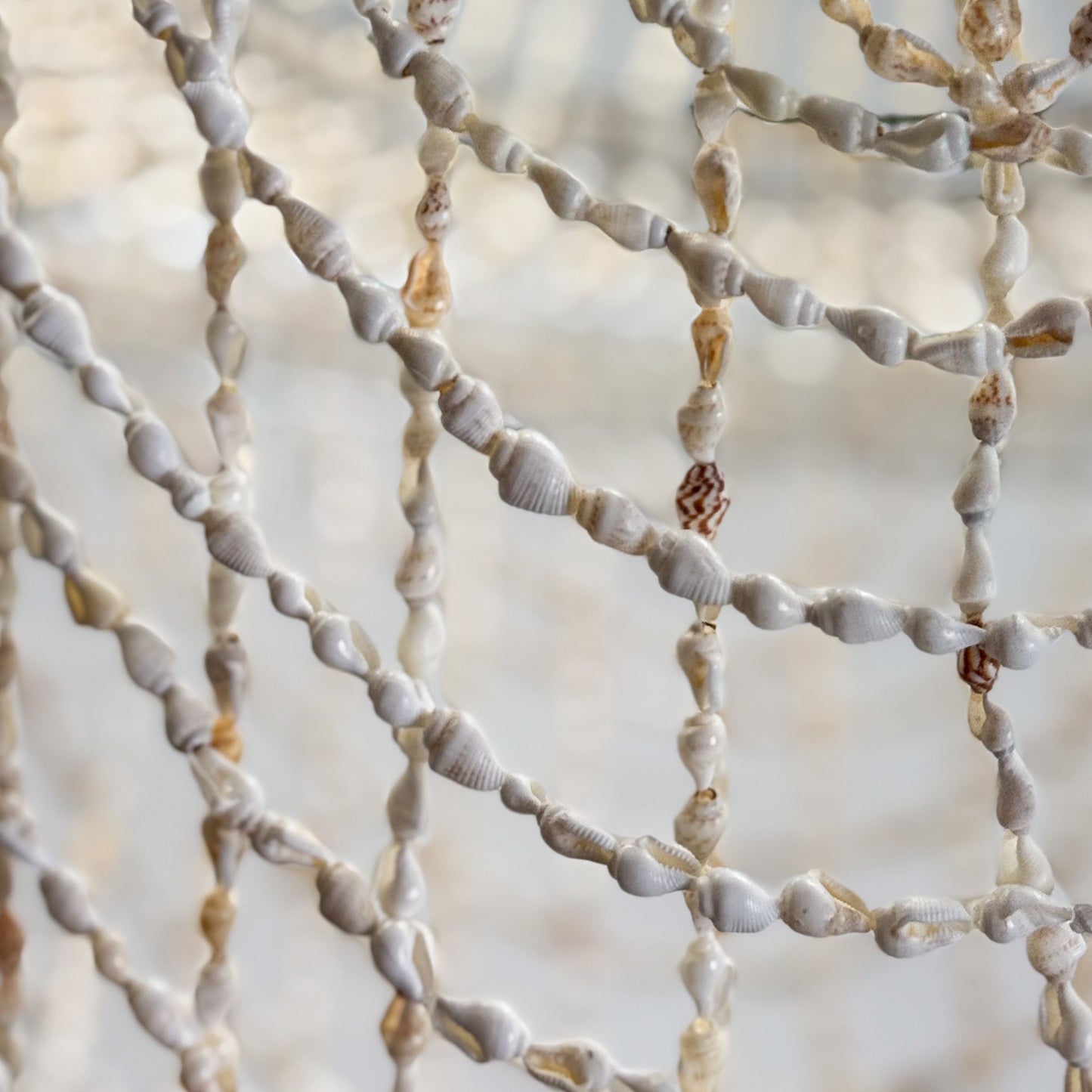 Hanging Shell Pendant Light