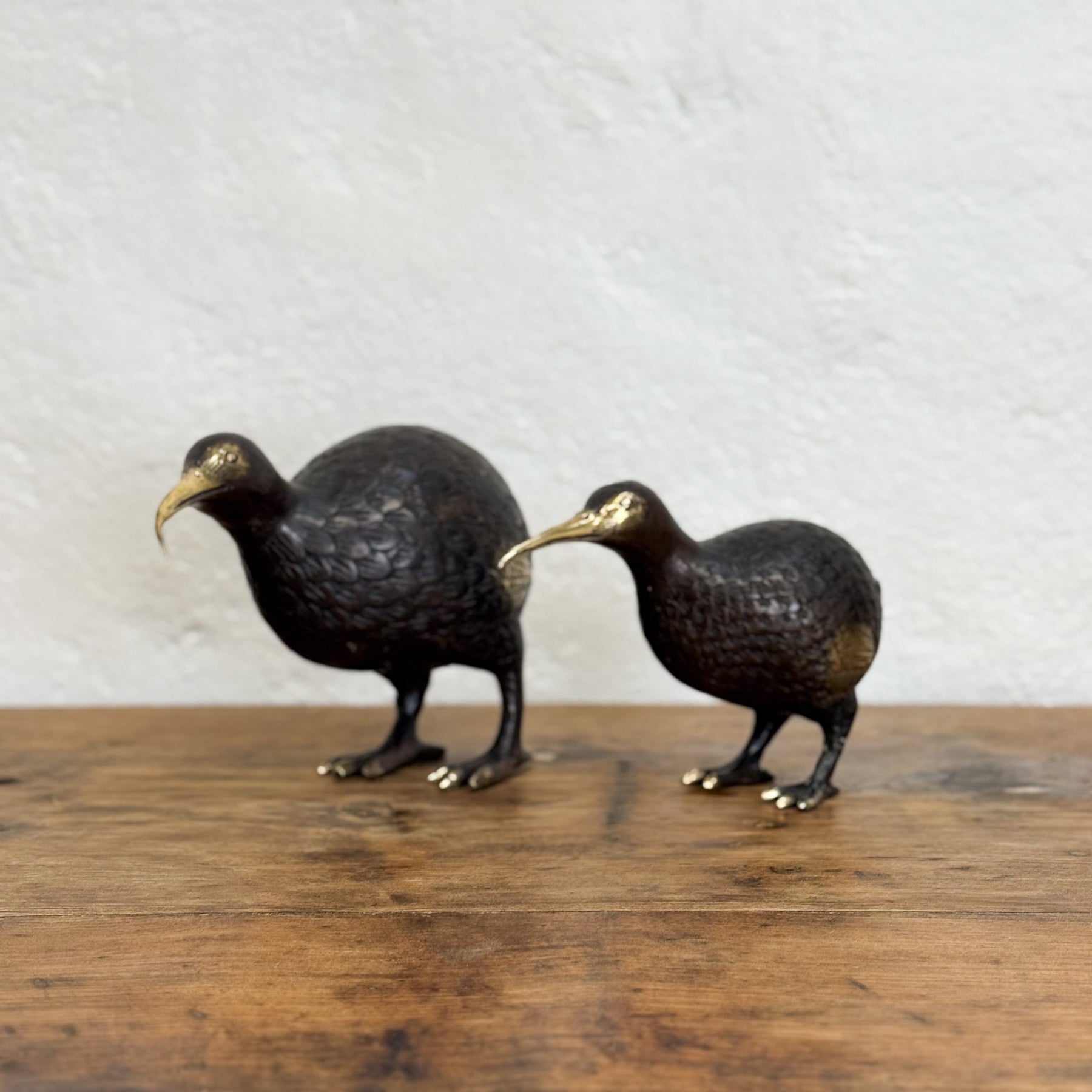 Bronze Kiwi I