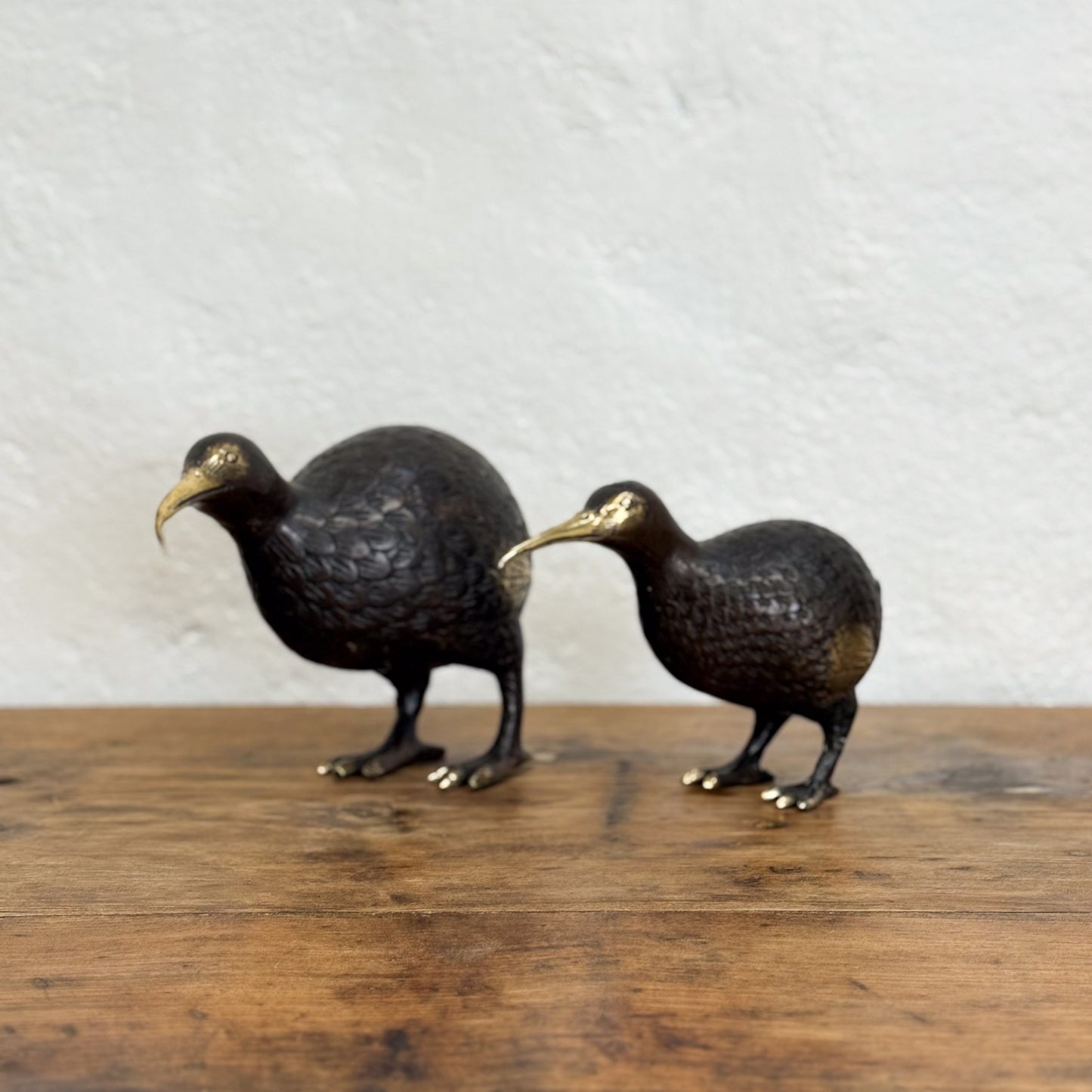 Bronze Kiwi I