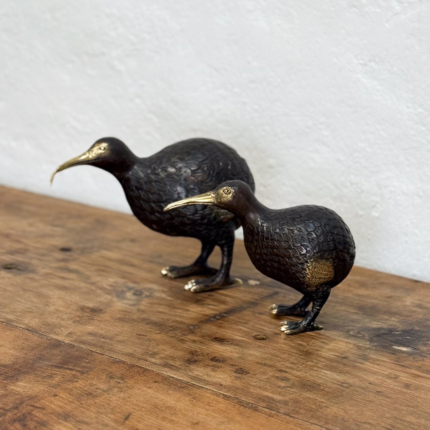 Bronze Kiwi I