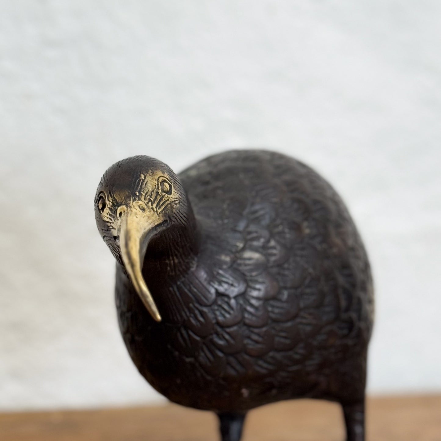 Bronze Kiwi I