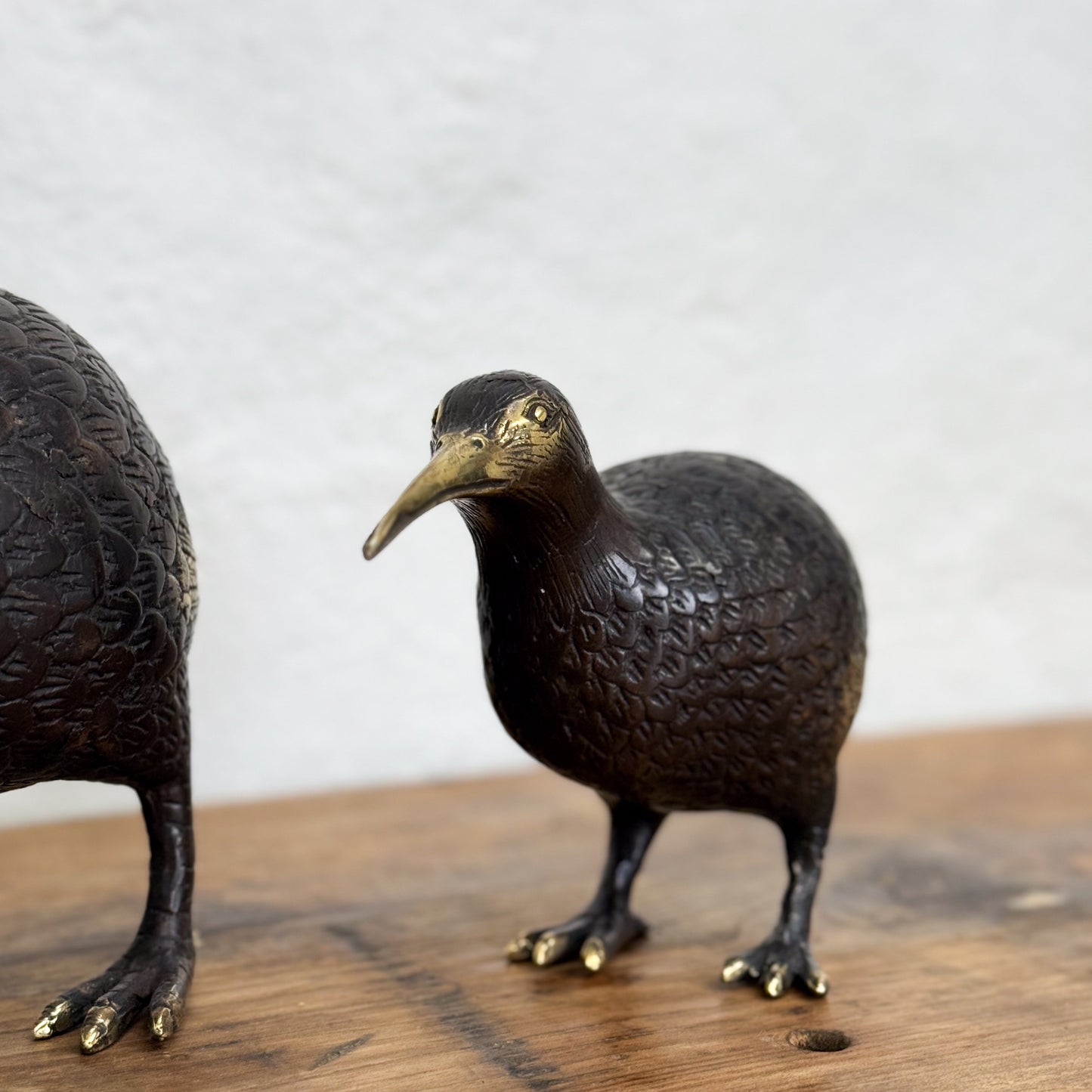 Bronze Kiwi I