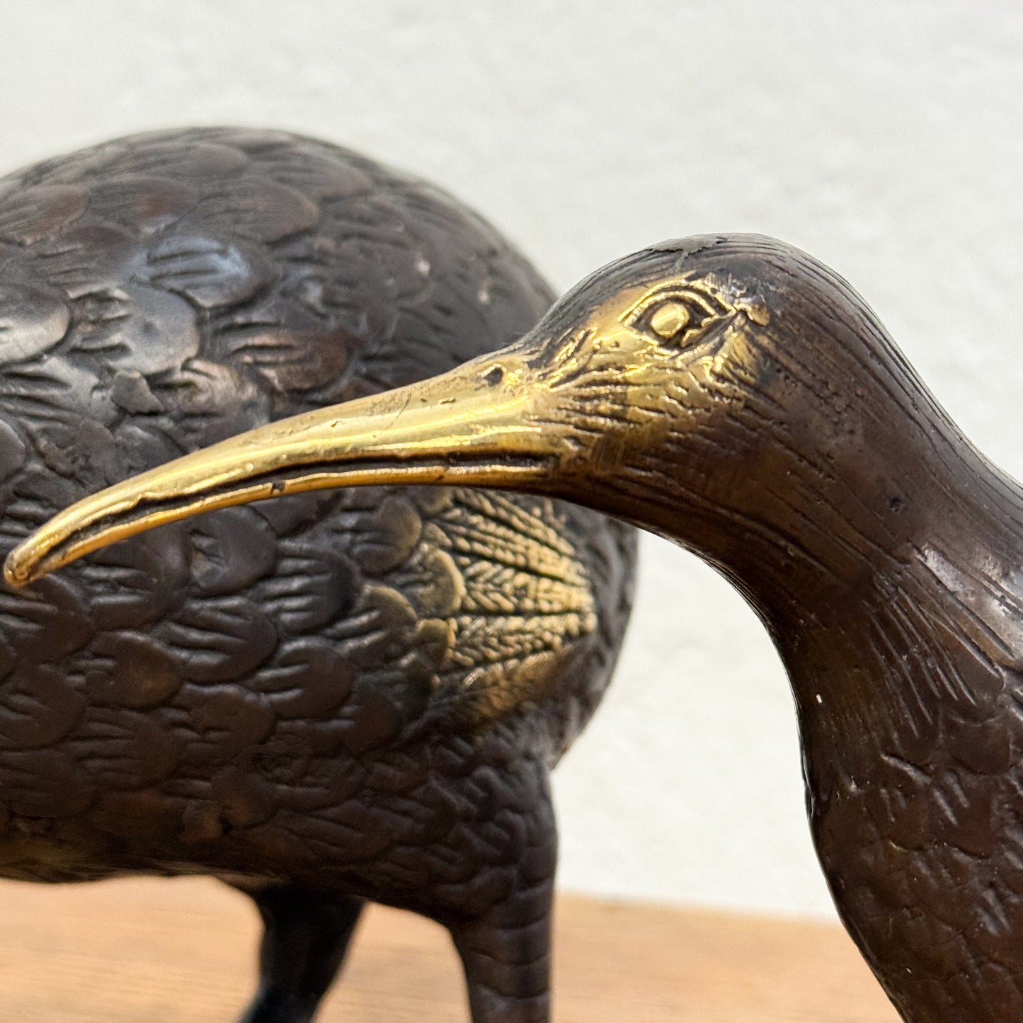 Bronze Kiwi I