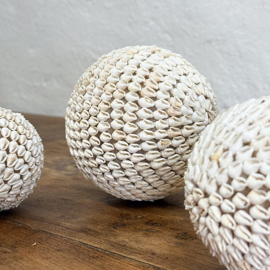 Ball Shaped Shell Nassa Shell Ball – Orient House