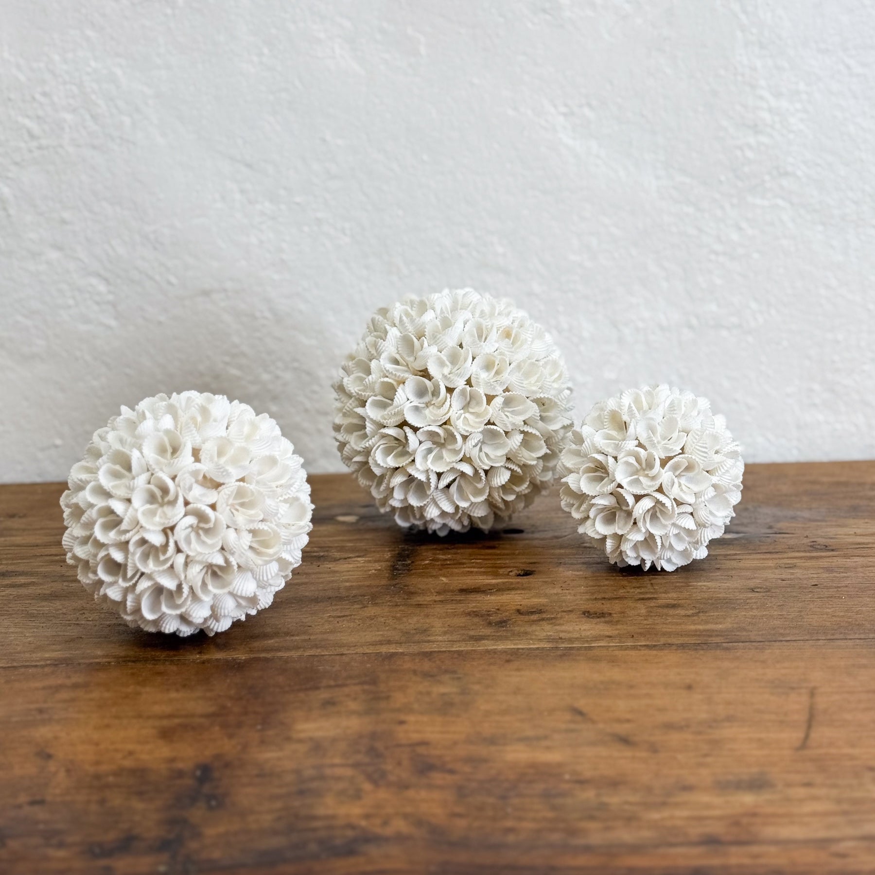Shell Balls Cockle Flower Shell Ball – Orient House