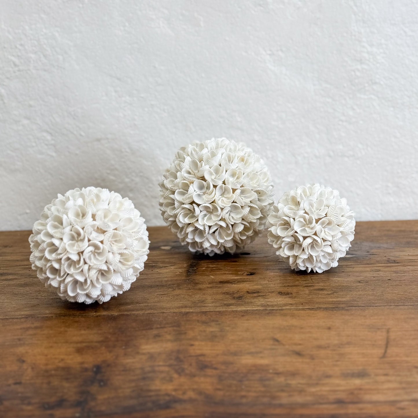 Cockle Flower Shell Ball