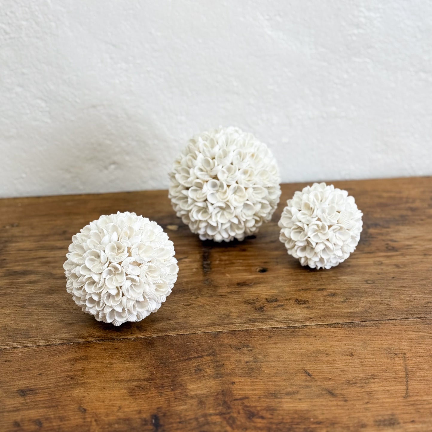 Cockle Flower Shell Ball