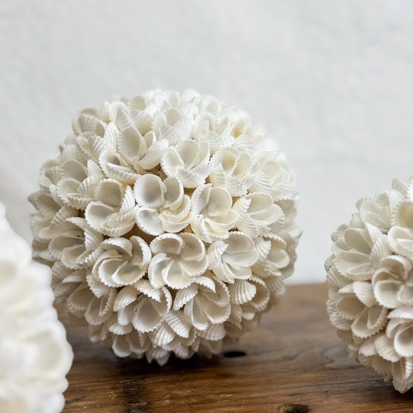 Cockle Flower Shell Ball