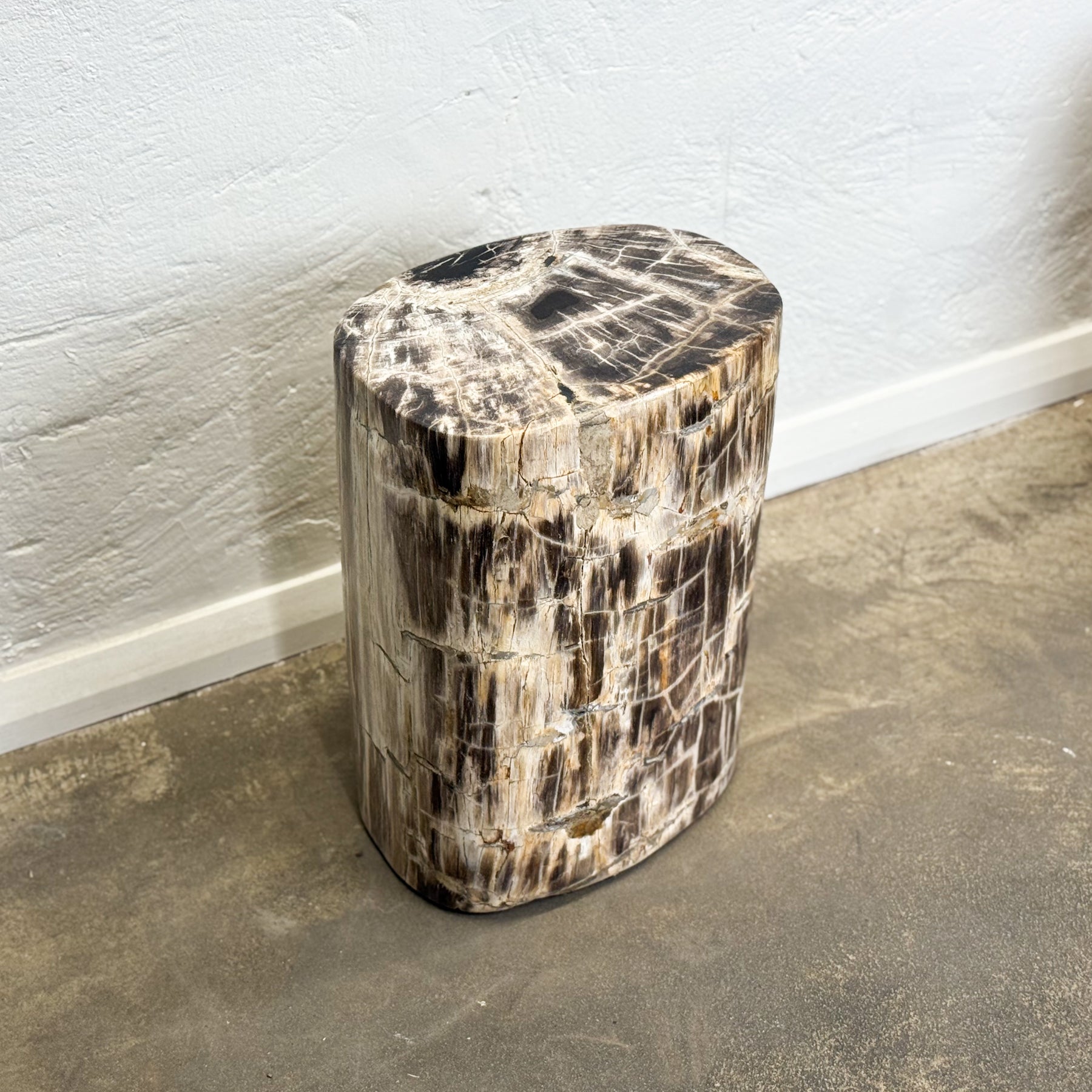Petrified Wood Stool II