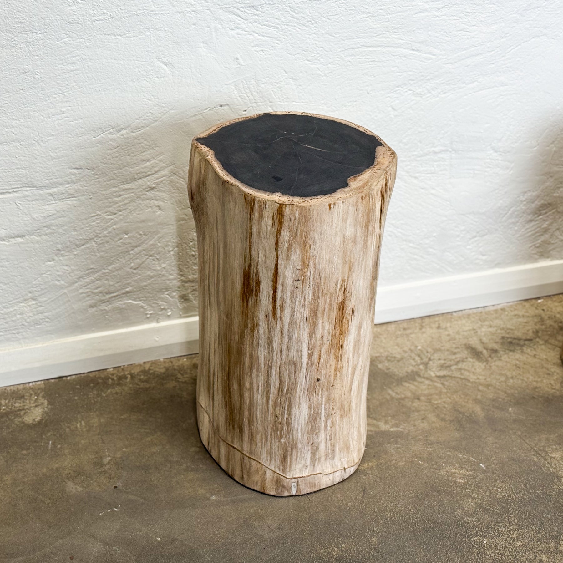 Petrified Wood Stool III