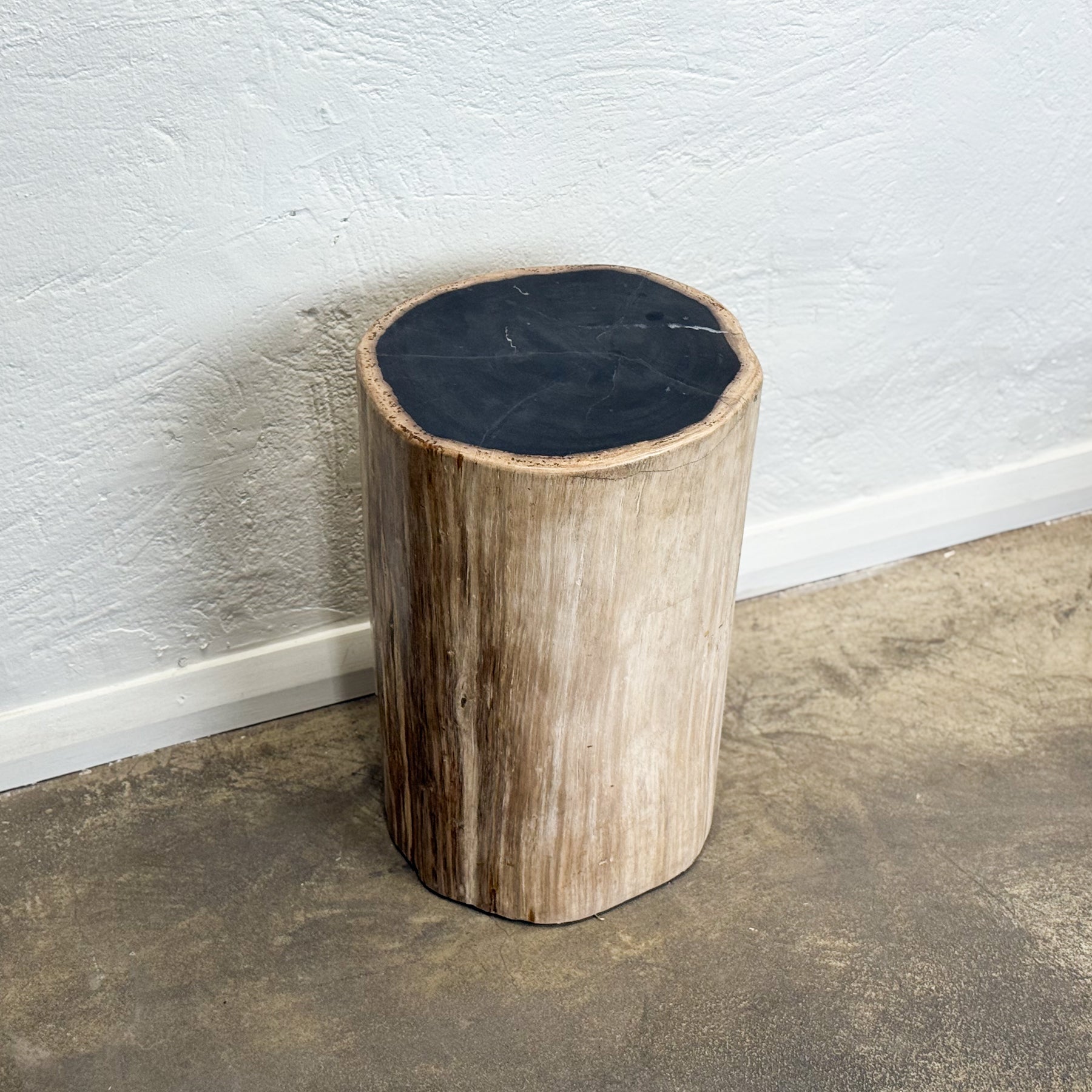 Petrified Wood Stool IV