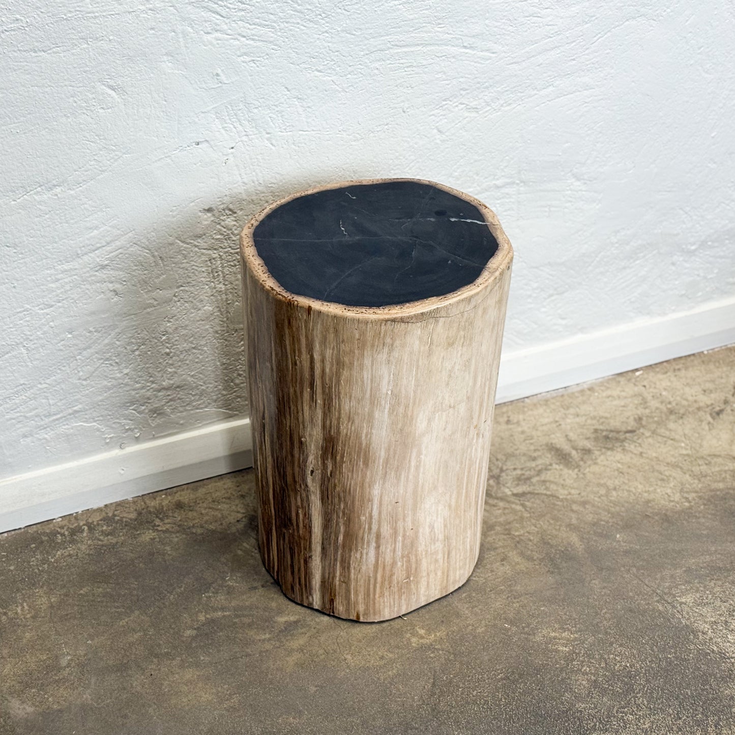 Petrified Wood Stool IV